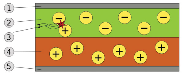 Schematic of a bi-layer OLED Schematic of a bi-layer OLED